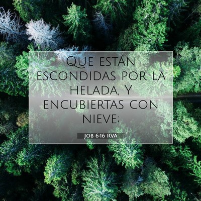 Picture 07 - Job 6:16 RVA - Que están escondidas por la helada, Y - Bible Verse Picture