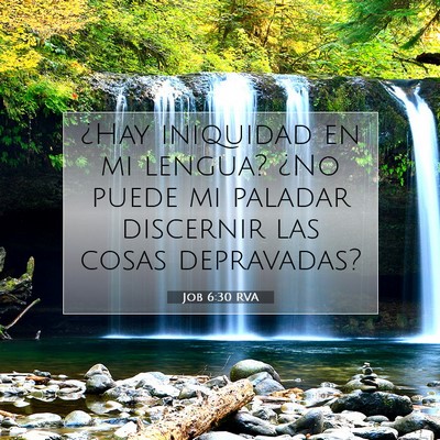 Picture 07 - Job 6:30 RVA - ¿Hay iniquidad en mi lengua? ¿No puede mi - Bible Verse Picture