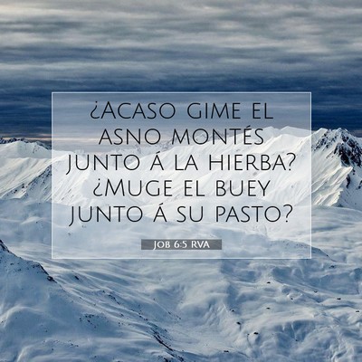 Picture 07 - Job 6:5 RVA - ¿Acaso gime el asno montés junto á la hierba? - Bible Verse Picture