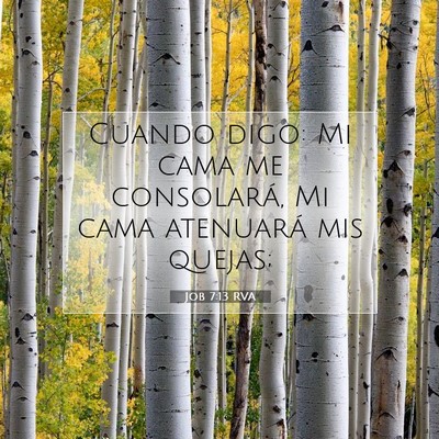 Picture 07 - Job 7:13 RVA - Cuando digo: Mi cama me consolará, Mi cama - Bible Verse Picture