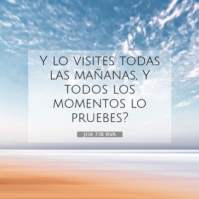 Picture 07 - Job 7:18 RVA - Y lo visites todas las mañanas, Y todos los - Bible Verse Picture