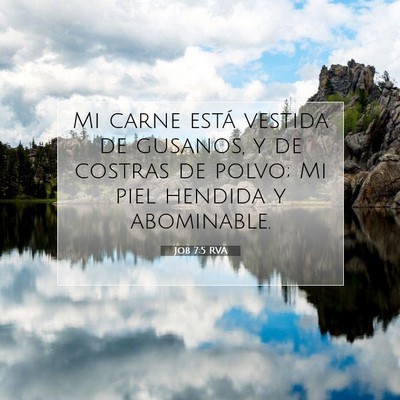 Picture 07 - Job 7:5 RVA - Mi carne está vestida de gusanos, y de costras - Bible Verse Picture