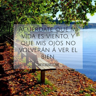 Picture 07 - Job 7:7 RVA - Acuérdate que mi vida es viento, Y que mis ojos - Bible Verse Picture