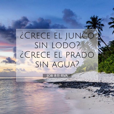 Picture 07 - Job 8:11 RVA - ¿Crece el junco sin lodo? ¿Crece el prado sin - Bible Verse Picture