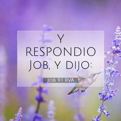 Picture 07 - Job 9:1 RVA - Y RESPONDIO Job, y - Bible Verse Picture