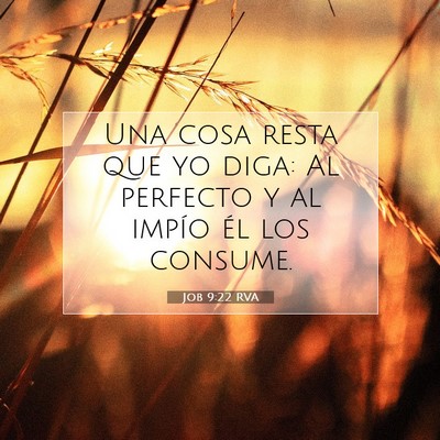 Picture 07 - Job 9:22 RVA - Una cosa resta que yo diga: Al perfecto y al - Bible Verse Picture