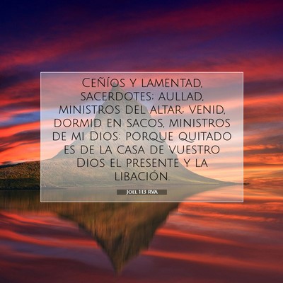 Picture 07 - Joel 1:13 RVA - Ceñíos y lamentad, sacerdotes; aullad, - Bible Verse Picture