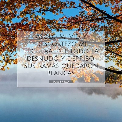Picture 07 - Joel 1:7 RVA - Asoló mi vid, y descortezó mi higuera: del todo - Bible Verse Picture