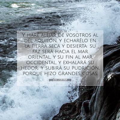 Picture 07 - Joel 2:20 RVA - Y haré alejar de vosotros al del aquilón, y - Bible Verse Picture