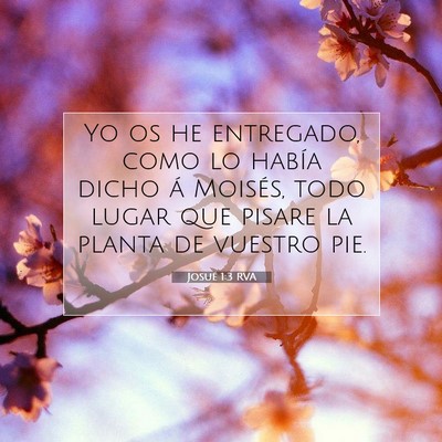 Picture 07 - Josué 1:3 RVA - Yo os he entregado, como lo había dicho á - Bible Verse Picture