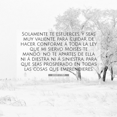 Picture 07 - Josué 1:7 RVA - Solamente te esfuerces, y seas muy valiente, para - Bible Verse Picture