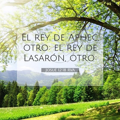 Picture 07 - Josué 12:18 RVA - El rey de Aphec, otro: el rey de Lasarón, - Bible Verse Picture