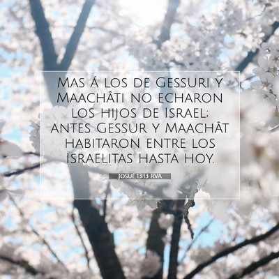 Picture 07 - Josué 13:13 RVA - Mas á los de Gessuri y Maachâti no echaron los - Bible Verse Picture
