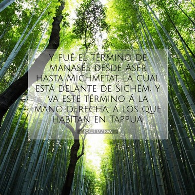 Picture 07 - Josué 17:7 RVA - Y fué el término de Manasés desde Aser hasta - Bible Verse Picture