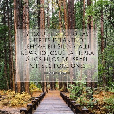 Picture 07 - Josué 18:10 RVA - Y Josué les echó las suertes delante de Jehová - Bible Verse Picture