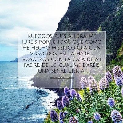 Picture 07 - Josué 2:12 RVA - Ruégoos pues ahora, me juréis por Jehová, que - Bible Verse Picture