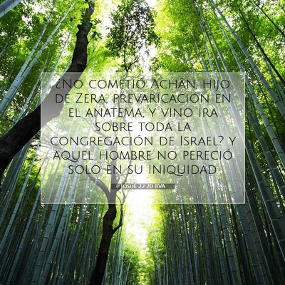 Picture 07 - Josué 22:20 RVA - ¿No cometió Achân, hijo de Zera, - Bible Verse Picture