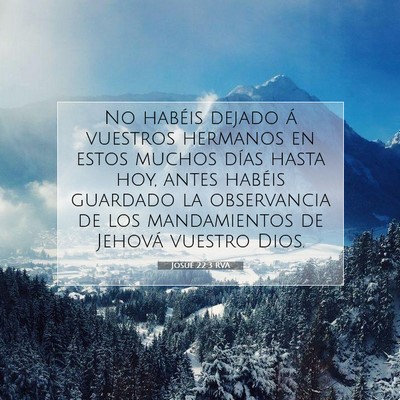 Picture 07 - Josué 22:3 RVA - No habéis dejado á vuestros hermanos en estos - Bible Verse Picture