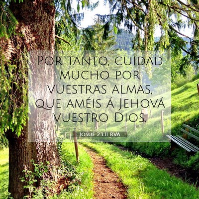 Picture 07 - Josué 23:11 RVA - Por tanto, cuidad mucho por vuestras almas, que - Bible Verse Picture