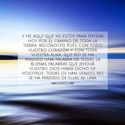 Picture 07 - Josué 23:14 RVA - Y he aquí que yo estoy para entrar hoy por el - Bible Verse Picture
