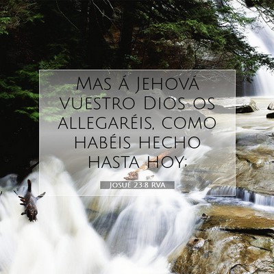 Picture 07 - Josué 23:8 RVA - Mas á Jehová vuestro Dios os allegaréis, como - Bible Verse Picture