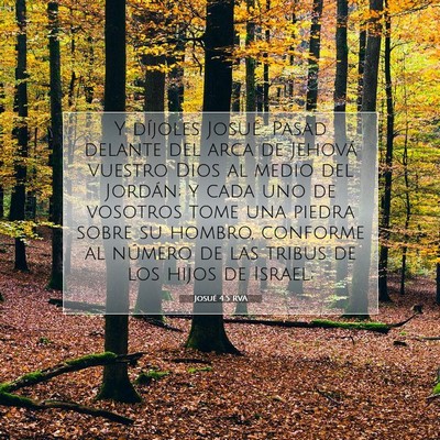 Picture 07 - Josué 4:5 RVA - Y díjoles Josué: Pasad delante del arca de - Bible Verse Picture