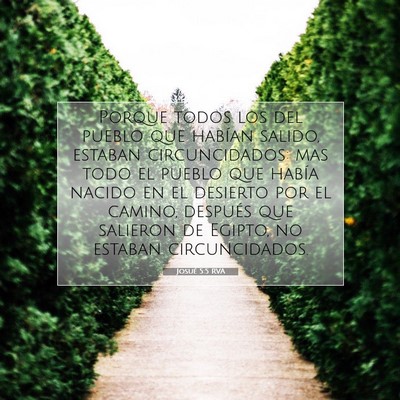 Picture 07 - Josué 5:5 RVA - Porque todos los del pueblo que habían salido, - Bible Verse Picture
