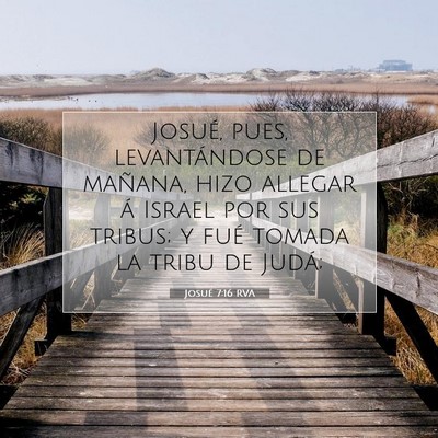 Picture 07 - Josué 7:16 RVA - Josué, pues, levantándose de mañana, hizo - Bible Verse Picture