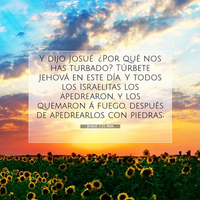 Picture 07 - Josué 7:25 RVA - Y dijo Josué: ¿Por qué nos has turbado? - Bible Verse Picture