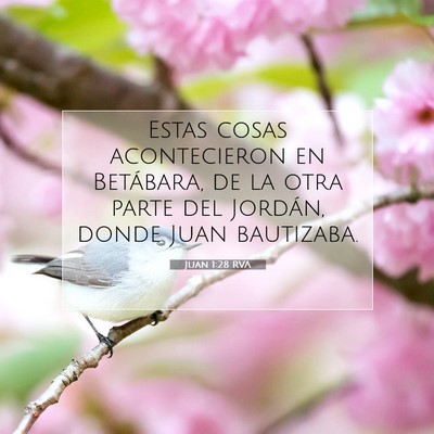 Picture 07 - Juan 1:28 RVA - Estas cosas acontecieron en Betábara, de la otra - Bible Verse Picture