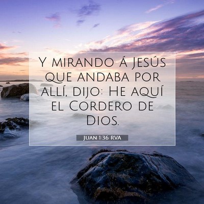Picture 07 - Juan 1:36 RVA - Y mirando á Jesús que andaba por allí, dijo: - Bible Verse Picture