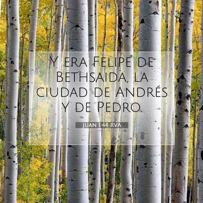 Picture 07 - Juan 1:44 RVA - Y era Felipe de Bethsaida, la ciudad de Andrés y - Bible Verse Picture