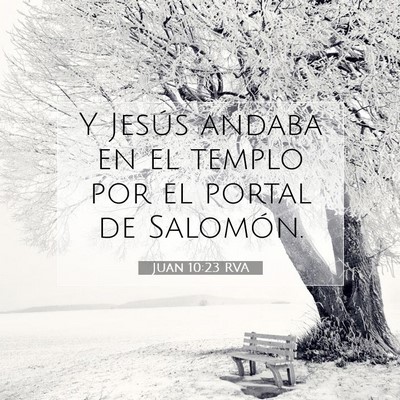 Picture 07 - Juan 10:23 RVA - Y Jesús andaba en el templo por el portal de - Bible Verse Picture