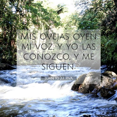 Picture 07 - Juan 10:27 RVA - Mis ovejas oyen mi voz, y yo las conozco, y me - Bible Verse Picture