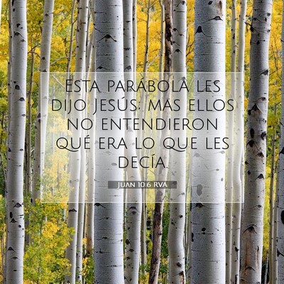 Picture 07 - Juan 10:6 RVA - Esta parábola les dijo Jesús; mas ellos no - Bible Verse Picture