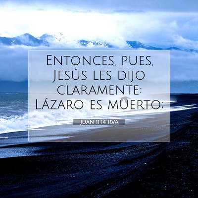 Picture 07 - Juan 11:14 RVA - Entonces, pues, Jesús les dijo claramente: - Bible Verse Picture