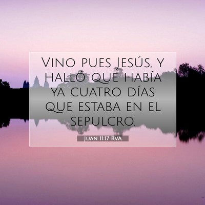 Picture 07 - Juan 11:17 RVA - Vino pues Jesús, y halló que había ya cuatro - Bible Verse Picture