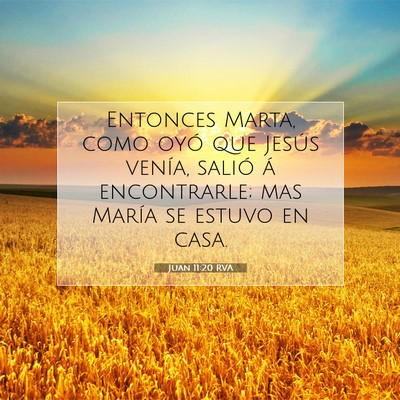 Picture 07 - Juan 11:20 RVA - Entonces Marta, como oyó que Jesús venía, - Bible Verse Picture