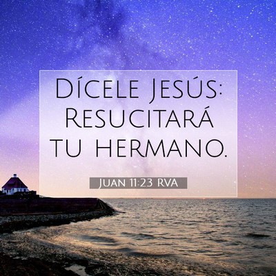 Picture 07 - Juan 11:23 RVA - Dícele Jesús: Resucitará tu - Bible Verse Picture