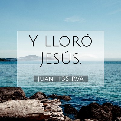 Picture 07 - Juan 11:35 RVA - Y lloró - Bible Verse Picture