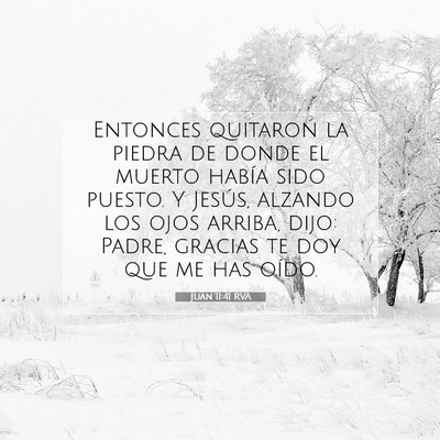 Picture 07 - Juan 11:41 RVA - Entonces quitaron la piedra de donde el muerto - Bible Verse Picture