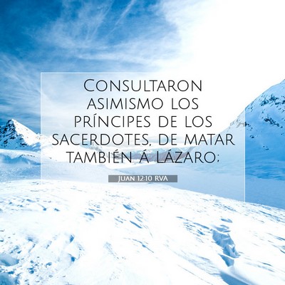 Picture 07 - Juan 12:10 RVA - Consultaron asimismo los príncipes de los - Bible Verse Picture