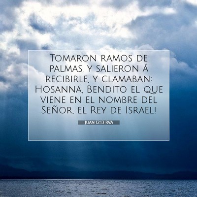 Picture 07 - Juan 12:13 RVA - Tomaron ramos de palmas, y salieron á recibirle, - Bible Verse Picture