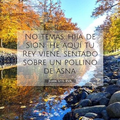 Picture 07 - Juan 12:15 RVA - No temas, hija de Sión: he aquí tu Rey viene, - Bible Verse Picture
