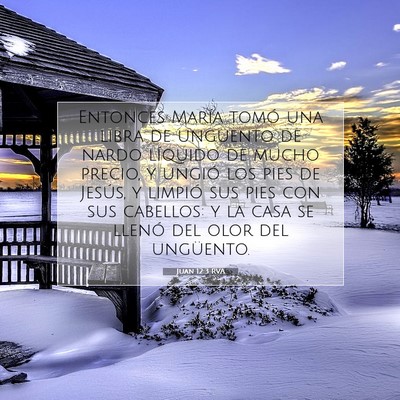 Picture 07 - Juan 12:3 RVA - Entonces María tomó una libra de ungüento de - Bible Verse Picture