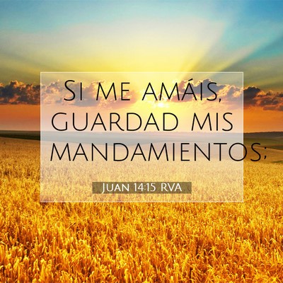 Picture 07 - Juan 14:15 RVA - Si me amáis, guardad mis - Bible Verse Picture
