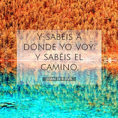 Picture 07 - Juan 14:4 RVA - Y sabéis á dónde yo voy; y sabéis el - Bible Verse Picture