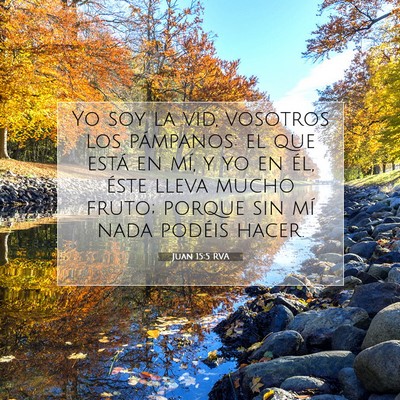 Picture 07 - Juan 15:5 RVA - Yo soy la vid, vosotros los pámpanos: el que - Bible Verse Picture