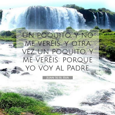 Picture 07 - Juan 16:16 RVA - Un poquito, y no me veréis; y otra vez un - Bible Verse Picture