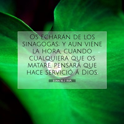 Picture 07 - Juan 16:2 RVA - Os echarán de los sinagogas; y aun viene la - Bible Verse Picture